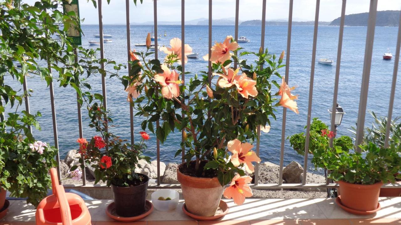 I Cinque Sensi Bed & Breakfast Ischia Room photo